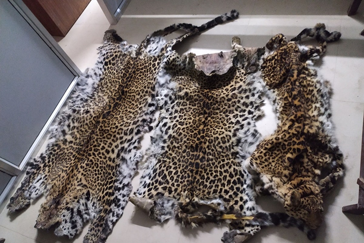 तस्बिर: रासस